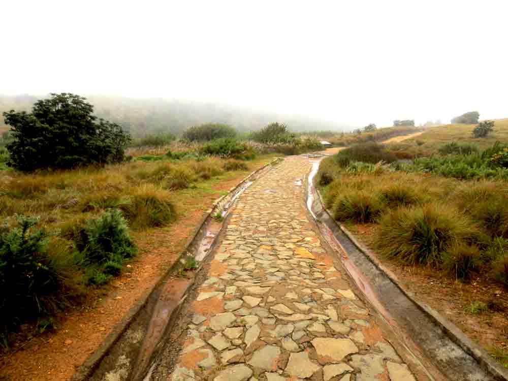 Home horton plains man made road nuwara eliya