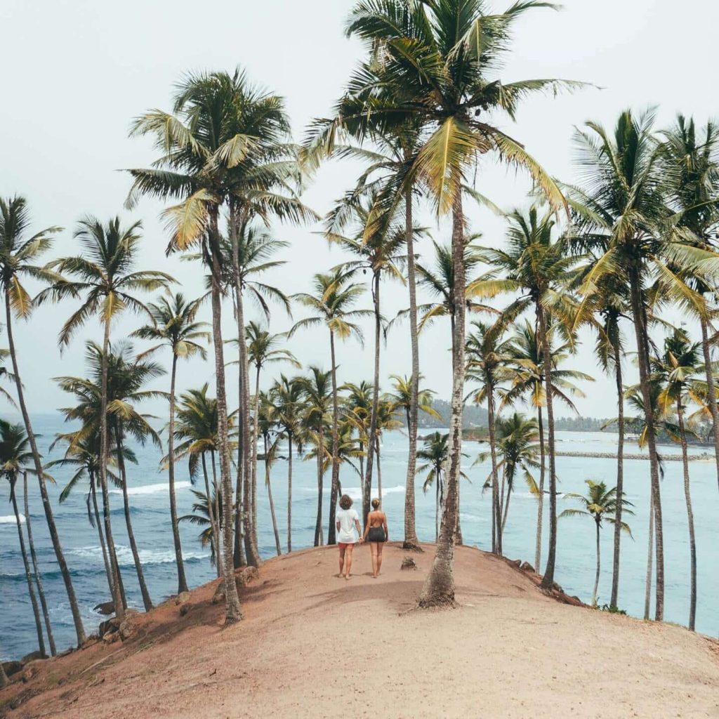 Home things to do mirissa sri lanka coconut tree header 1440x1440