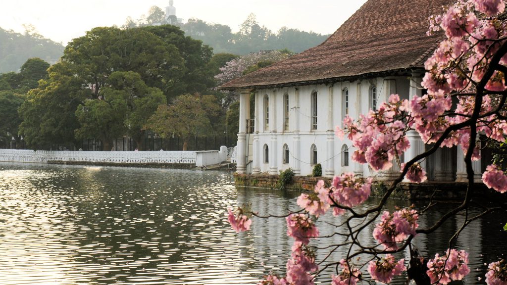 Home kandy 3